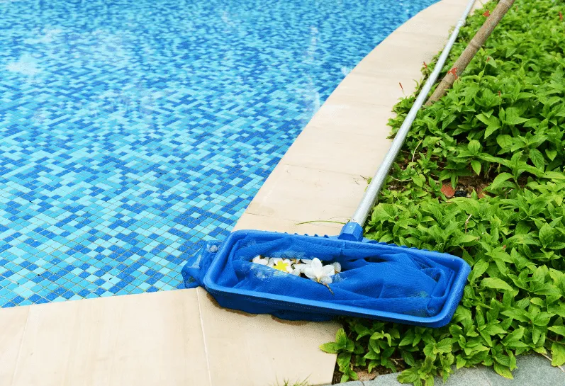 How to clean pool tile